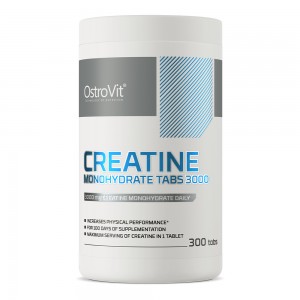 OstroVit CREATINE 3000 300 tabs